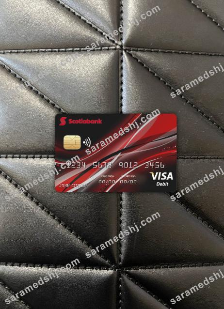 Canada Nova bank visa card photolook front